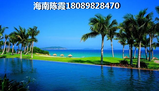 麓鳴海怎么樣