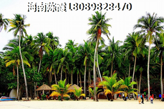 2021怎樣在海南購房