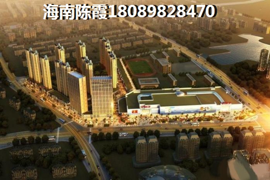 紫園生紙空間剖析